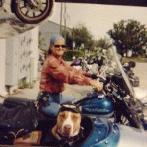 Meet your Posher, Denise